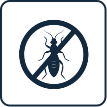 No Termites